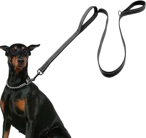 2 handle dog leash