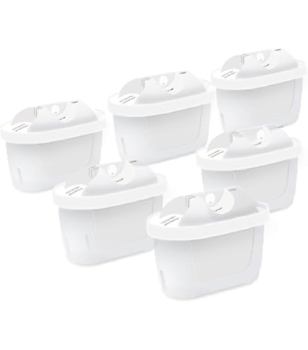 Amazon.com: LAICA Bi-Flux Water Filter Cartridges 6 filtri White