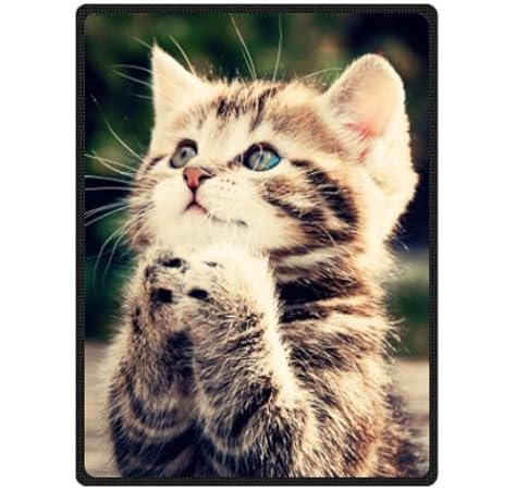best cat blanket