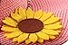 Dantiya Kids Multicolor Sun Hat Large Brim Flower Beach Hats for Girls ,Pink, Free Size