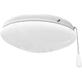 Progress Lighting P2602-30WB AirPro Collection Universal Opal Glass Ceiling Fan Light Kit, 2-Light, White