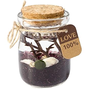 Shrimp Bubble Ecosystem Kit - Self-Sustaining Live Opae Ula Shrimp Habitat With Glass Bubble