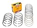 Evergreen RS4026A.STD Compatible With/Replacement For 88-95 Honda Civic CRX Acura Integra D16Z6 D16A1 D16A6 D15B7 / 1.6L G16KC G16KV Set Engine Piston Ring Set (Standard Size)