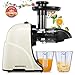 Masticating Juicer Machines, Hethtec Slow Cold Press Juicer Quiet Motor, Reverse Function, High Yield Juice Extractor with Brush for Fruits and Vegetables, Easy to Clean, BPA-Free