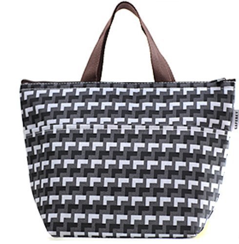 Hayabusa TM Waterproof Picnic Lunch Bag Tote Insulated Cooler Travel Zipper Organizer Box (Grid)