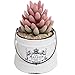 MyGift 4 Inch French Country White Bucket Planter - Rustic Ceramic Farmhouse Maison Pail Design Succulent Flower Planter Pot/Decorative Accessory Jar with Drainage Hole & Plug