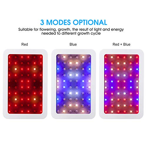 2 Giixer+Switch+Spectrum+Hydroponic+Flower