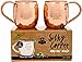 Moscow Mule Copper Mugs - Gift Box Set of 2 - 100% Extra Heavy Solid Copper - Hammered Finish - Premium Quality - 16 Ounce - Barware by Silky Copper