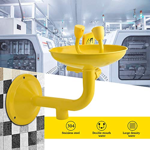 SEAAN Emergency Eyewash Station Wall Mounted Eye Face Washer Shower Stainless Steel Bowl Double Mouth Push-Handle Control Built-in Filter ABS Anti-Corrosion Coating