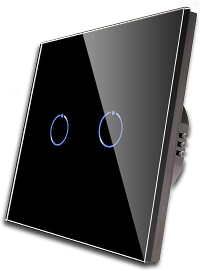 CNBINGO 2-Way Touch Light Switch 2-Gang Glass Panel LED Backlight 240V