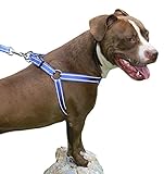 CHILIPET Best Step in No Pull Dog Harness for Large & Medium Size Breeds, Fits on Chest Girth Sized (1.0