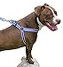 Best Step In No Pull Dog Harness for Large & Medium Size Breeds, Fits on Chest Girth Sized (1.0