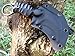Canku C1697 Tactical Knife Fixed Blade D2 Steel G10 Handle, karambit Fixed Blade Knife with Kydex Sheath,Outdoor Survival Claw Tactical Teeth Knife,Camping EDC Tools