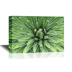 Floral Canvas Wall Art - Sharp Pointed Agave Plant Leaves - Gallery Wrap Modern Home Art | Ready to Hang - 12x18 inches