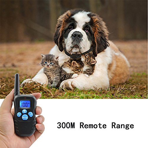 shock collar for st bernard