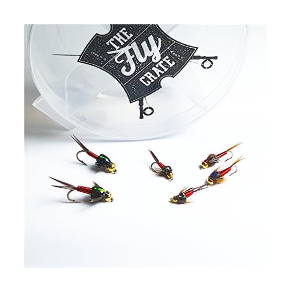 BH-Copper-John-Fly-Fishing-Nymph-Trout-Fly-Assortment-Choose-Your-Color-6-Flies