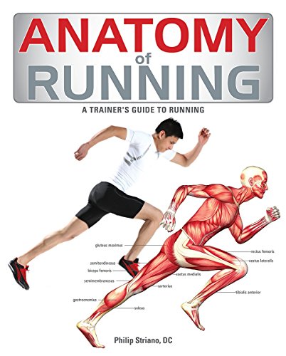 Anatomy of Running: A Trainer's Guide to Running by Philip Striano DC
