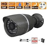 HOSAFE 1MB1G HD IP Camera Outdoor 720P Night Vision ONVIF, Working With Foscam IP Camera Software Blue Iris iSpy IP Camera DVR(Grey)