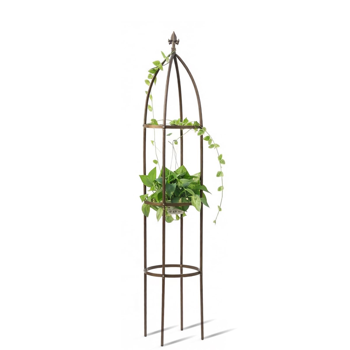 100% Metal Obelisk Garden Trellis 5.5 Feet Tall Sturdy Plant Support for Climbing Vines and Flowers Stands,1pc Upgrade (Bronze, Medium) Image