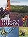 Fresh Cut Flowers by 
