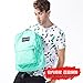 JanSport T501 Superbreak Backpack - Green