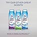 Lysol Max Cover Disinfectant Mist, Garden After Rain, 12.5 Ounce