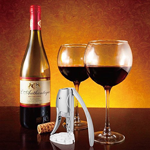 Red Wine Opener, Hi-Tech Premium Steel Corkscrew with Foil Cutter Holder and A Silicone Wine Bottle Stopper (Silver)