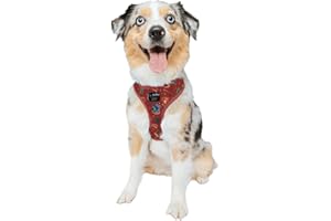 Sassy Woof Dog Adjustable Harness - Harry Potter™ - M, Breathable Mesh, No Pull Design with Two D-Rings, Patented Design, Perfect for Medium Dogs - Officially Licensed