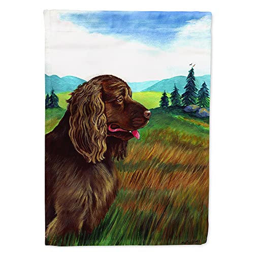 Caroline's Treasures 7122CHF Sussex Spaniel House Flag Large Porch Sleeve Pole…
