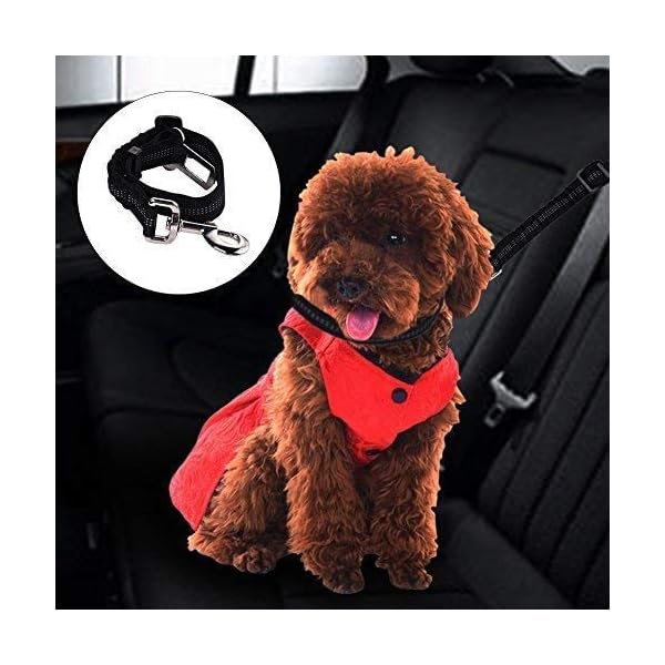 2-Pack-Premium-Car-Seat-Belt-for-Dogs-Cats-Pets-Adjustable-Safety-Heavy-Duty-Elastic-Lead-Harness-for-Cars-with-Elastic-Nylon-Bungee-Buffer-Black Dog Seat Belts for Cars UK, 2 Pack Premium Car Seat Belt for Dogs Cats Pets, Adjustable Safety Heavy Duty Elastic Lead…