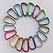s Valgens D Shape Spring-loaded Gate Aluminum Carabiner for Home, Rv, Camping, Fishing, Hiking, Traveling and Keychain Small Size(Assorted Colors Pack of 5)