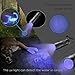 UV Light Zookki 12-LED Lights Pet UV Urine &Stain Detector Blacklight/Flashlight Detector, LED UV Flashlight 395nm,Find Stains on Clothes, Carpet or Rugs