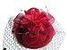 Cizoe Fascinator Hair Clip Pillbox Hat Bowler Feather Flower Veil Wedding Party Hat Tea Hat(1-Burgundy)