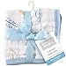 Hudson Baby Muslin Washcloth, Blue Feathers, 10