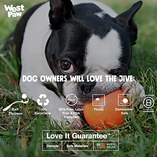 WEST PAW Zogoflex Jive Ball Dog Chew Toy Bouncing Toys for Dogs