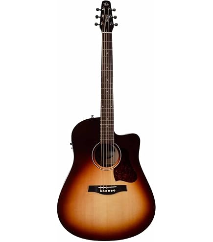 Amazon.com: Seagull Entourage Autumn Burst CW 6-String Acoustic