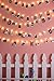 Radiance Dimmable Starry String Lights with Wireless Remote, 40 ft, Copper Wire, Warm White