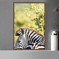 Framed Canvas Wall Art Zebra Animals Dramatic Farmhouse/Country Living Room Multicolor Photography Zebra - 16x24 inches