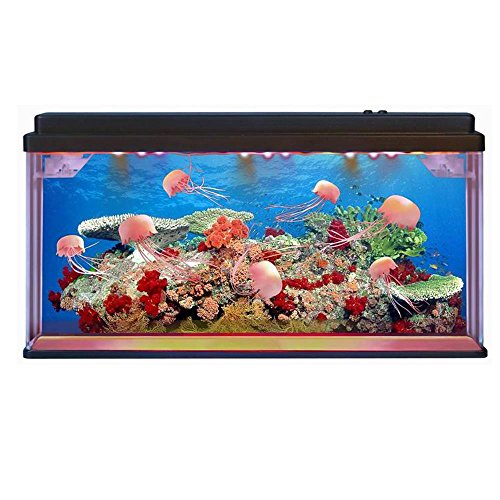 Top 10 best jellyfish aquarium with jellyfish Which is the best one in 2018?