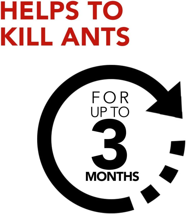 Raid Ant Killer Baits, For Household Use, Child Resistant, 4 Count: Garden & Outdoor