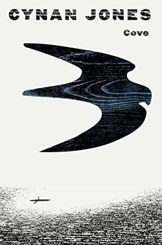 Cove Paperback – 7 Jan 2016