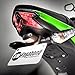 Vagabond Motorsports VM-KZ10 Fender Eliminator Kit Compatible with Kawasaki Z125