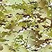 Hydrographics Film Water Transfer Printing Film Hydro Dipping Dip Film Hydrographic Film Army Camo Hydrographic Dip Kit 6oz Activator & 1 Linear Meter Hydrographics Film Camouflage Hydro dip Film