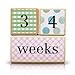 Natural Solid Wood Milestone Age Blocks (Multi-Color), Baby Age Photo Blocks