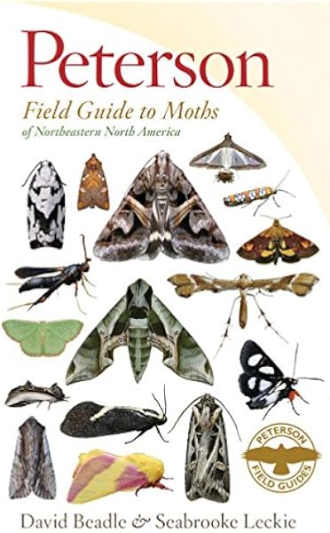 Images Of Moths In Ontario