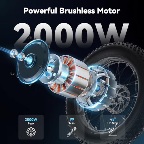 Jasion RetroVolt&Pro Electric Bike for Adults, 2000/3000W Peak - 30/38MPH Electric Mountain Bike, 48/52V, 13/20AH Removable Battery, 70/90Miles Electric Dirt Bike, 20'' X 4'' Fat Tire All-Terrain