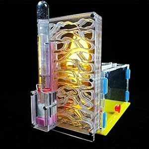 8bayfa Ant Farm Toy Formicaio R1 con Alimentazione Area Ant Farm Acrilico Insetti Gabbie Villa Pet Mania for Casa…