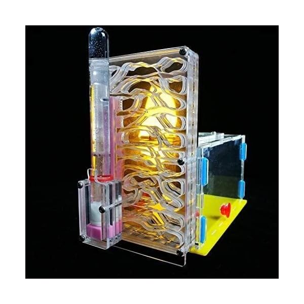 8bayfa Ant Farm Toy Formicaio R1 con Alimentazione Area Ant Farm Acrilico Insetti Gabbie Villa Pet Mania for Casa…