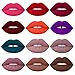 DE'LANCI 12Pcs Professional Lip Gloss Makeup Set Waterproof Cosmetic Listick Super Long Lasting Not Fade Lipstick Sexy Beauty Make Up Tools