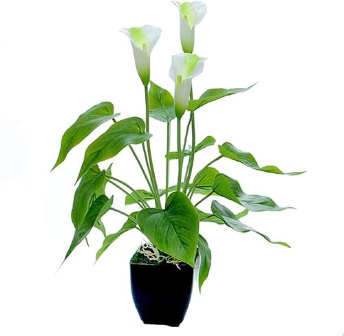 Download perfecthome Usine de Simulation Bonsai Usine environnementale Verte en Pot de Bonsaï Faux Bonsaï Artificiel pour Bouquets Jardin Mur Maison Hôtel De Mariage Décoration Ornements PDF